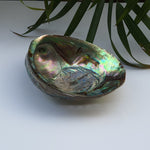 Load image into Gallery viewer, Abalone Shell (4.5 inches) (AS-04)
